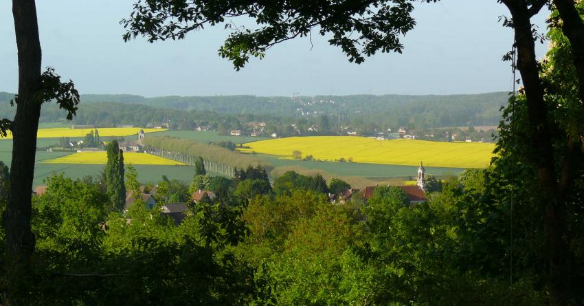 Vue de la terrasse Maison à louer Neauphle le Château